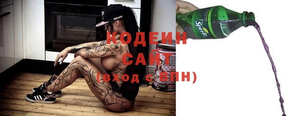 ПСИЛОЦИБИНОВЫЕ ГРИБЫ Михайлов