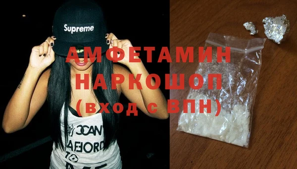 ПСИЛОЦИБИНОВЫЕ ГРИБЫ Михайлов