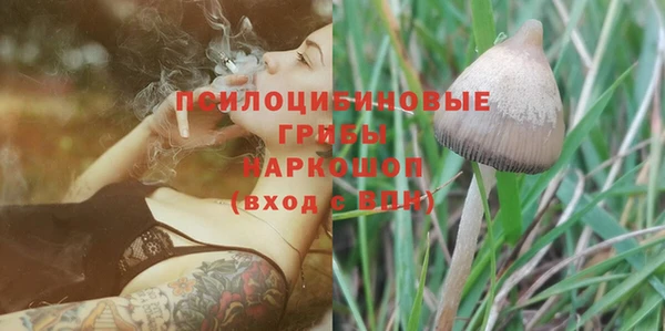ПСИЛОЦИБИНОВЫЕ ГРИБЫ Михайлов