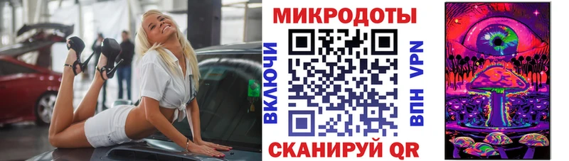 мега рабочий сайт  хочу   Серов  Псилоцибиновые грибы Psilocybe 